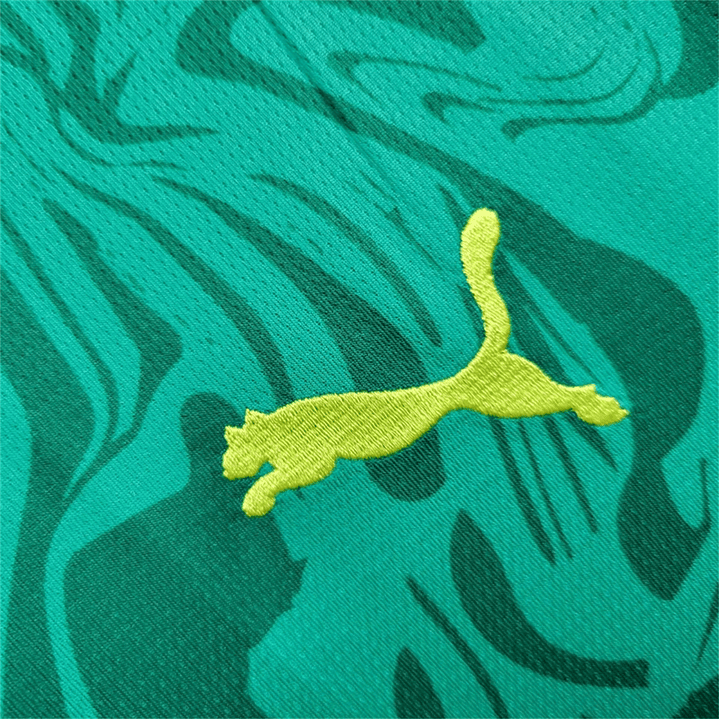 SENEGAL 2025 (Away Kit) 4