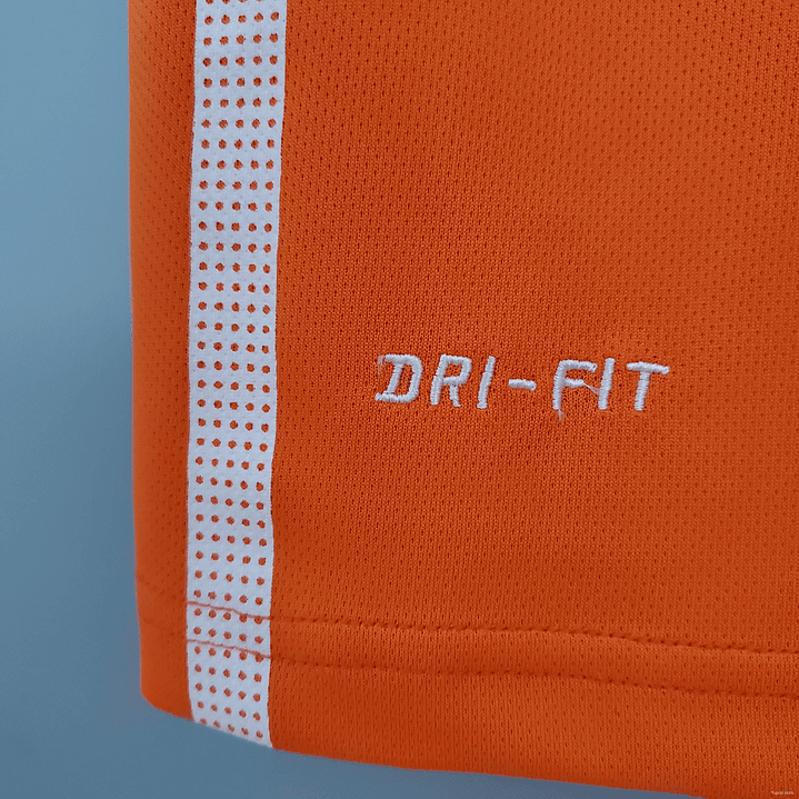 HOLANDA 2010 Retro (Home Kit) 6