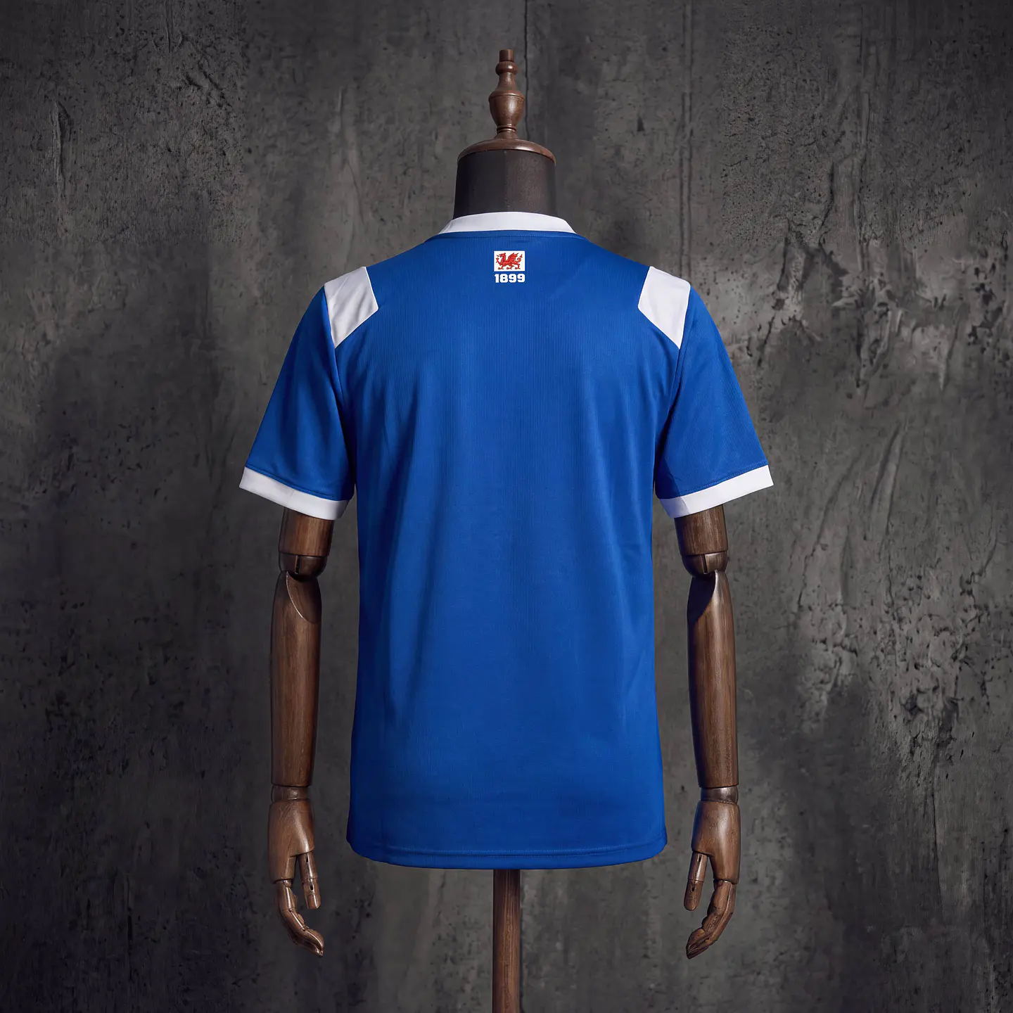 Cardiff City 26/27 (Home Kit) 2