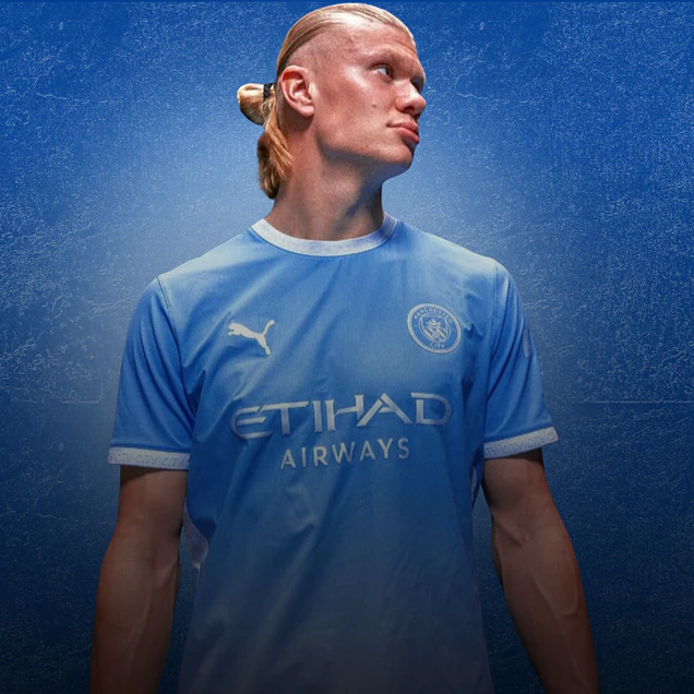 PREMIER LEAGUE (INGLATERRA)