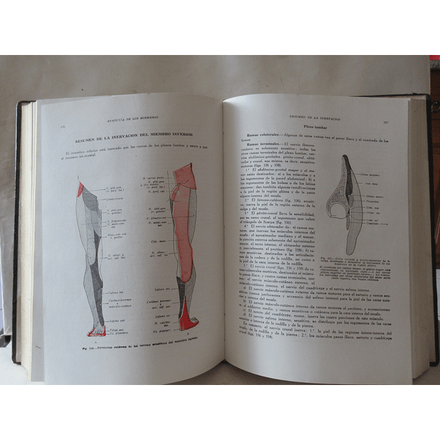 Anatomia Humana Descritiva, Topográfica/Funcional 1967/8 H. Rouviére/A. Delmas