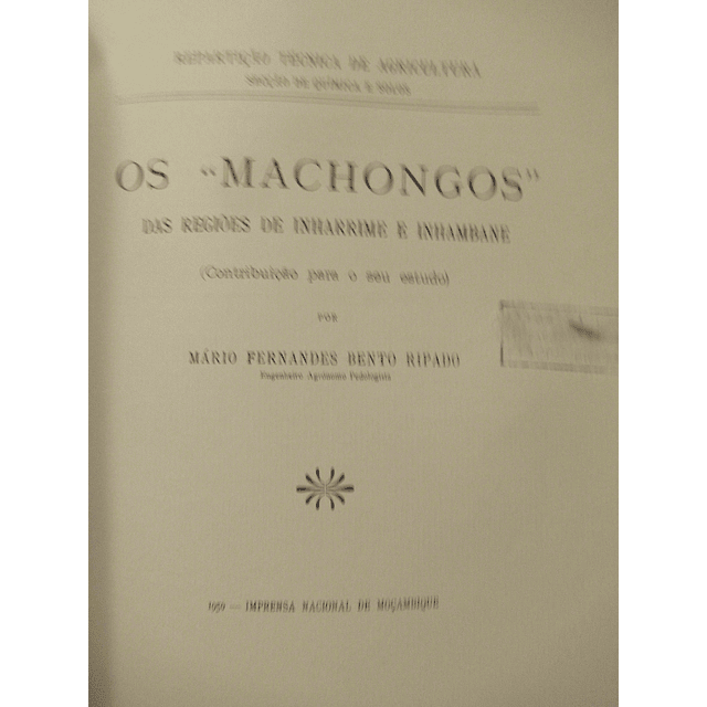 Os "Machongos" Regiões De Inharrime E Inhambane 1950 Mário Fernandes B. Ripado