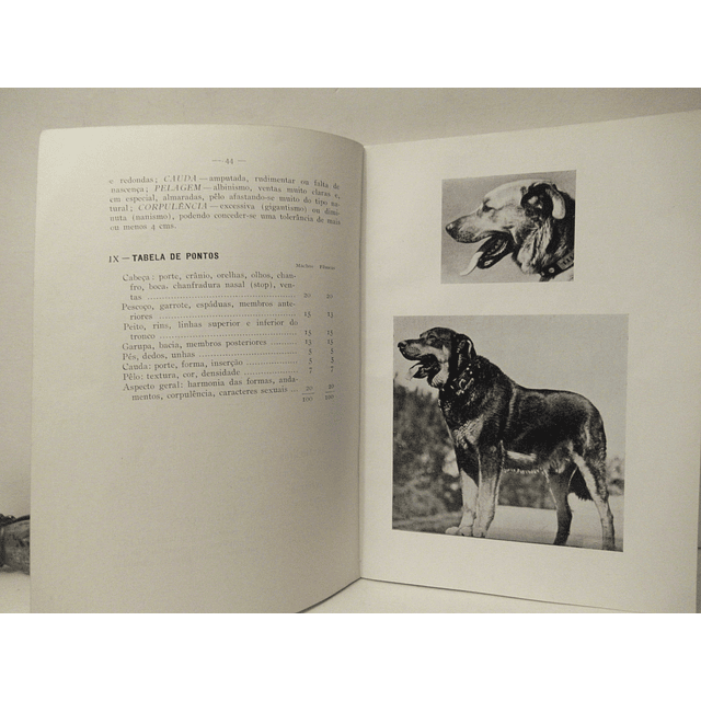 Cães Portugueses Estalões Das Suas Raças 1955 Clube Caçadores Portugueses VENDIDO