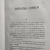 O Cavalo Dicionário Defeitos/Doenças Visíveis 1858 António Loureiro De Miranda