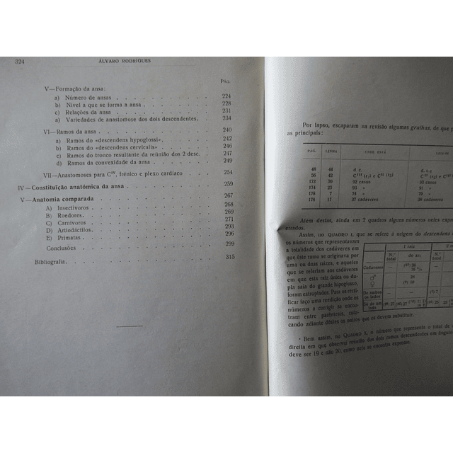 Ansa Hypoglossi/Subsídios Estudo Anatómico 1929 Álvaro António Pinheiro Rodrigues