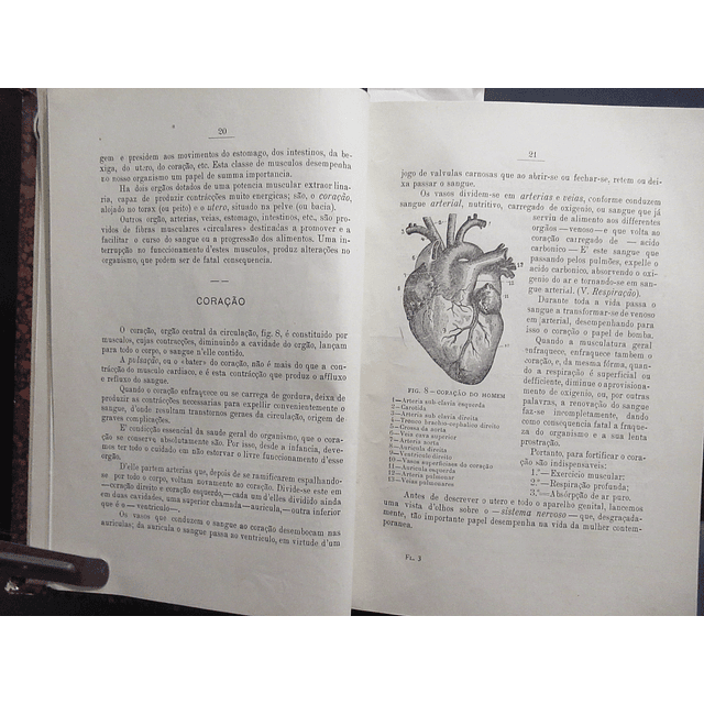 A Mulher Médica De Sua Casa 1904/7 Anna Fischer-Buckelman/Ardisson Ferreira