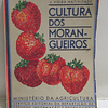 Cultura Dos Morangueiros 1940 J. Vieira Natividade