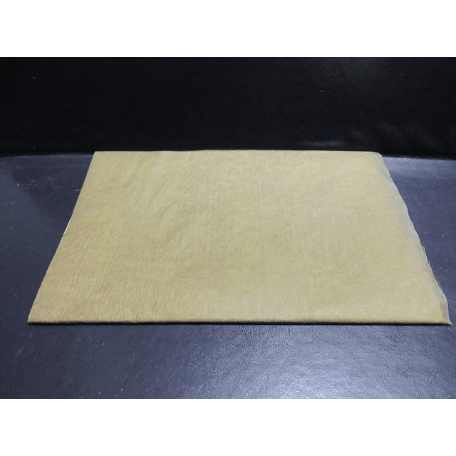 Louis Pasteur/Comemoração/Centenário Nascimento 1923 Virgilio Machado