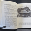 Timor Autopsia Uma Tragédia 1977 Luís Filipe F. R. Thomaz