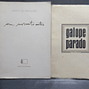 Galope Parado/Um Momento Antes 1974/80 Jacinto Magalhães/Zita Magalhães