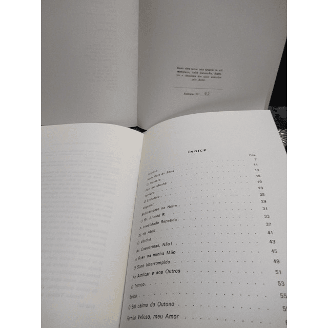 Galope Parado/Um Momento Antes 1974/80 Jacinto Magalhães/Zita Magalhães