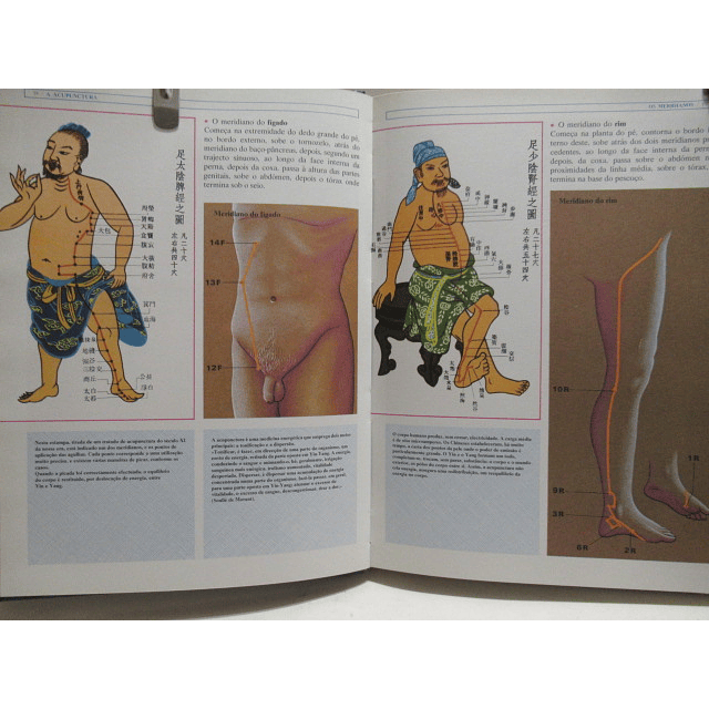 Enciclopédia De Ciências Ocultas 1981 Henri Chausson/Henri Conte/Jean-Eugene Thuaire