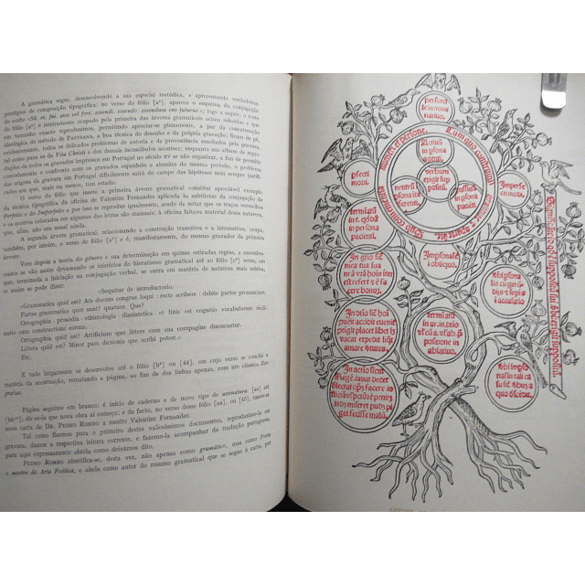 Revista Municipal Lisboa Beneditinos/Pregões/Cesàrio Verde 1953/6 Jaime Lopes Dias/José Espinho