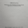 1º Simpósio De Aproveitamento De Resinas Naturais/Atas Científicas 1998 Segovia