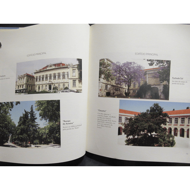 Instituto Superior Agronomia Segunda Metade Séc. XX António Monteiro Alves/Fernando L. Estácio