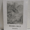 Pedro Cruz Desenhos 1888-1980 A. Souto Cruz