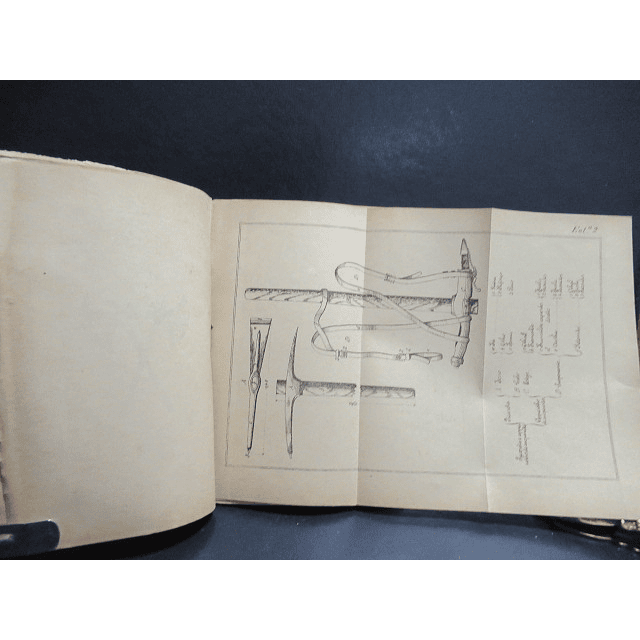  Sapadores De Infantaria/Cavalaria 1894 Organização Recrutamento/Instrução