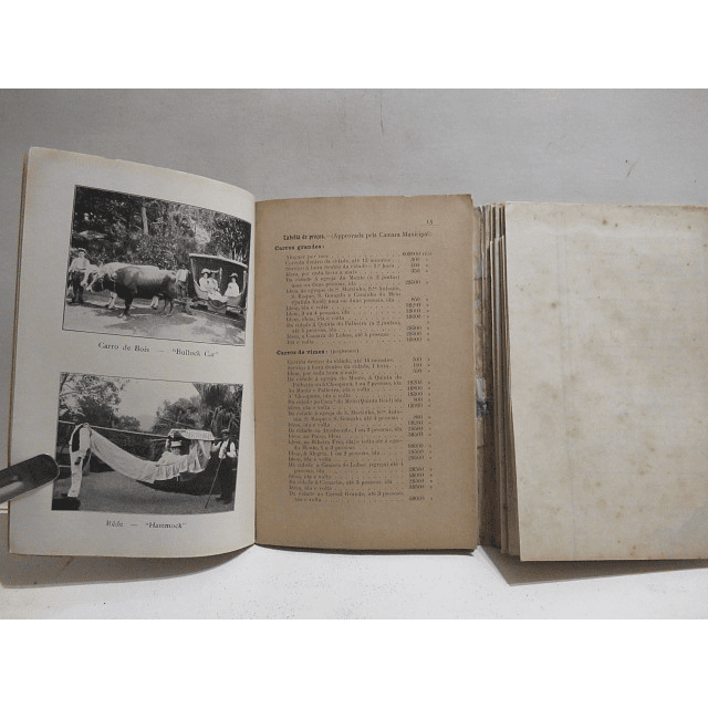 Roteiro E guia Funchal 1910 Adriano A. Trigo/Annibal A. Trigo