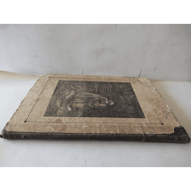 O Amigo Da Verdade E O Amigo Da Infância Vol. V 1879