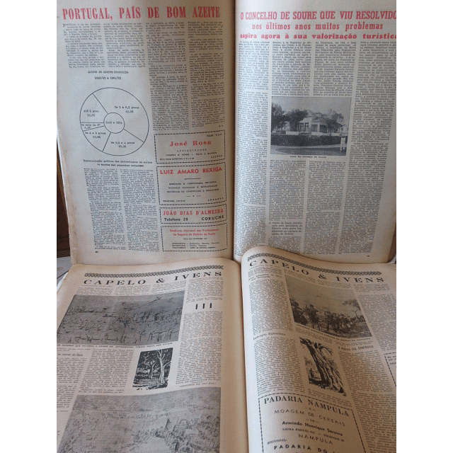 40 Anos Na Vida De Uma Nação 1966 Suplementos Diário Da Manhã
