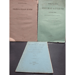 Gente Árica/Árya-Hindu/Sãoskrito Originalidade/Civilização/Glotologia 1875 G. De Vasconcellos Abreu