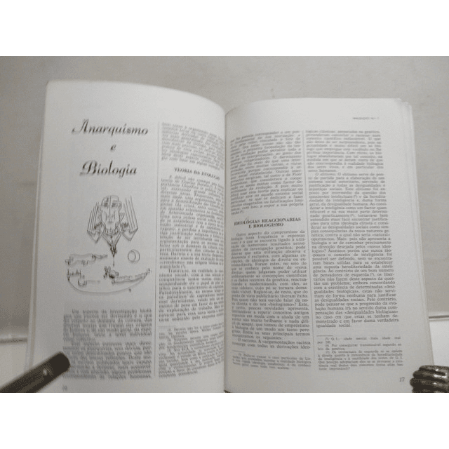 Maldição Ano 1, Nº 1 As FP-25 Seu Tempo/Anarquismo... 1986  Miguel A. Casal Monteiro