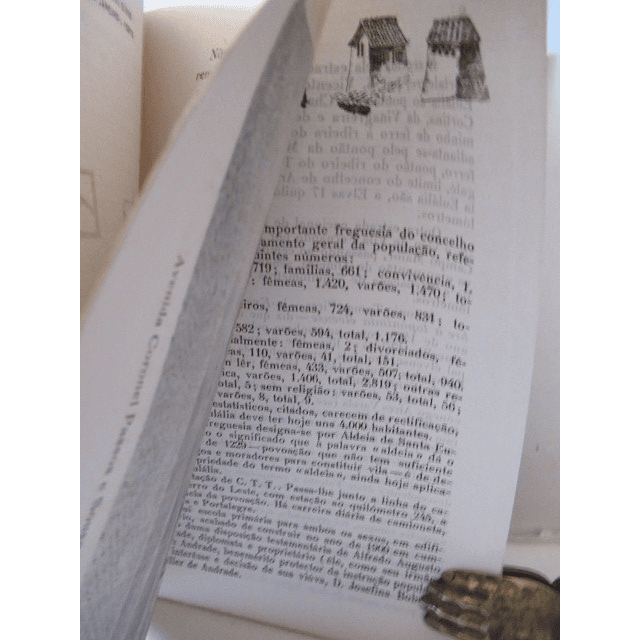 Santa Eulália "Flor" Alto Alentejo 1948 Domingos Lavadinho