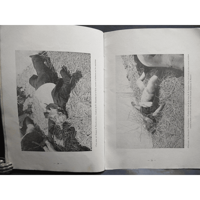 Segundo Avance Informe Oficial Asesinatos/Violaciones/Incendios 1936 Estado Español