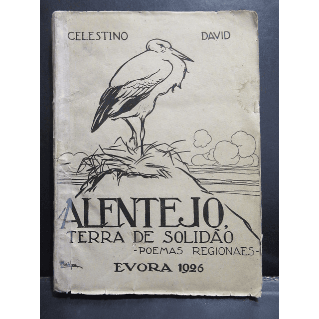 Alentejo Terra De Solidão 1926 Celestino David