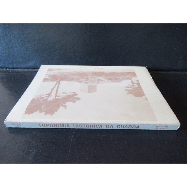 Toponímia Histórica Da Guarda 1984 Virgílio Arruda