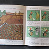 Ensino Primário Livro Leitura 2ª Classe 1968 J. Vieira/M. F. Patrício/S. Graça/M. Keil/F. De Abreu