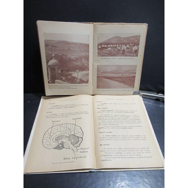 Ensino Primário Ciências Naturais/Geografia Professor Janeiro Acabado