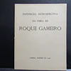 Roque Gameiro Exposição Retrospetiva Da Obra 1946 Teresa Leitão De Barros