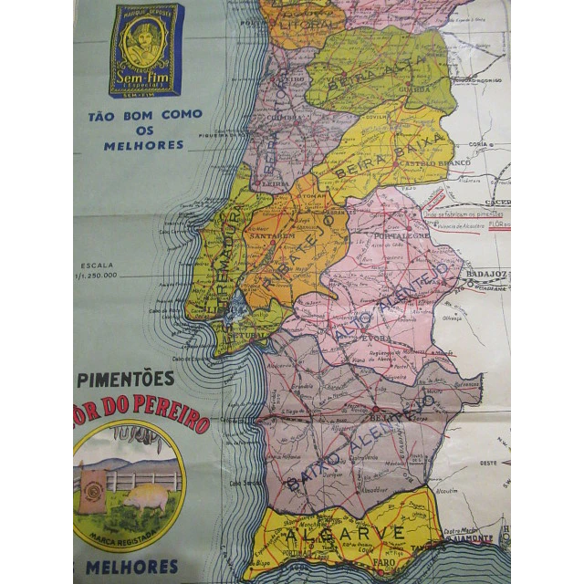 Mapa Portugal/Publicitário/Nova Divisão Administrativa 1944 João Nunes Sequeira