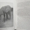 La Domestication De L`Eléphant D`Afrique/Congo Belge 1920 E. Leplae