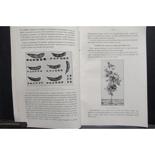 Le Soja Notes Pratiques Colons Agricole 1930 I. Pynaert