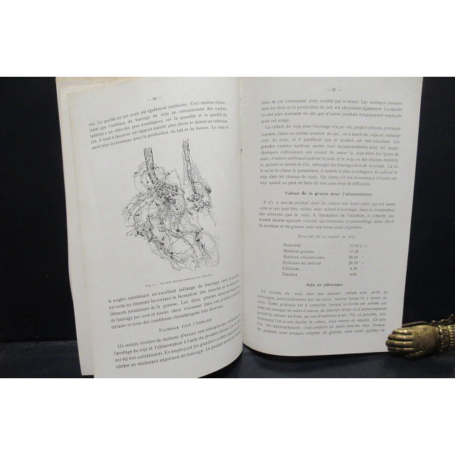 Le Soja Notes Pratiques Colons Agricole 1930 I. Pynaert
