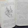 Le Soja Notes Pratiques Colons Agricole 1930 I. Pynaert