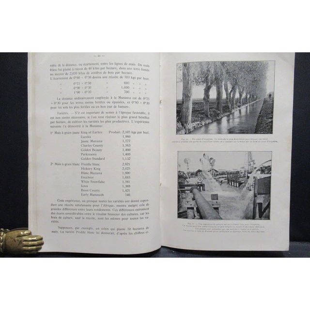 L`Agriculture Regions Élevées/Élevages/Plantations Congo Belges 1923 Edm. Leplae