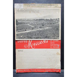 Caves Messias/Mealhada 1949 Messias Batista
