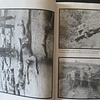 Amgola 1960/1965 A Surpresa A Guerra A Recuperação 1998 Manuel Graça