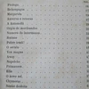 Relampagos 1874 Cunha Vianna