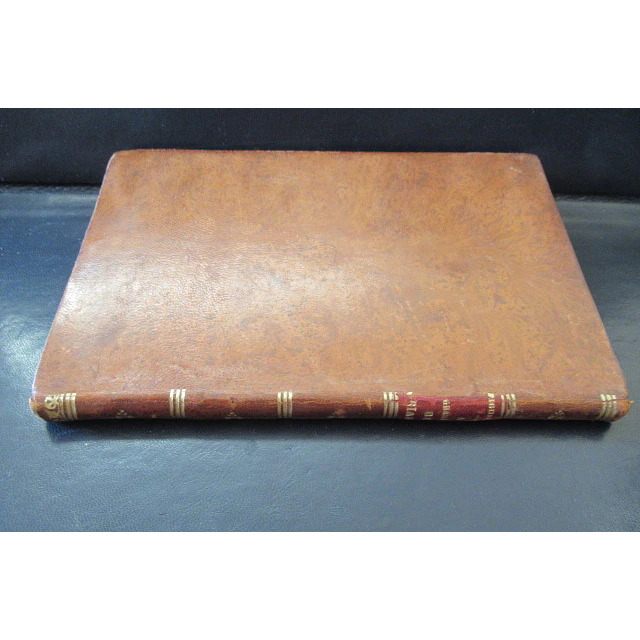 A Gramática Das Crianças 1925 Candido De Figueiredo
