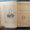 Peregrinações (1863-1906) Versos Candido De Figueiredo
