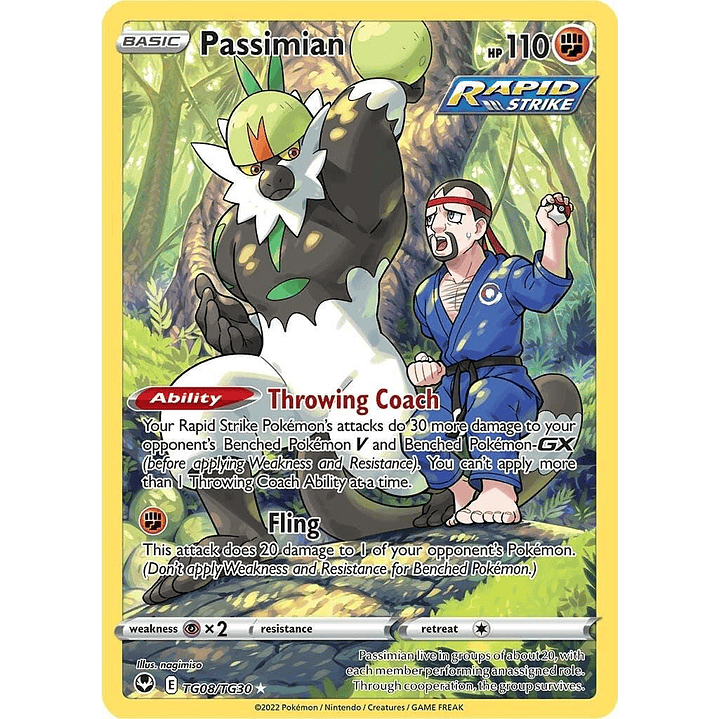 Passimian #TG08/TG30 Pokémon Silver Tempest 1