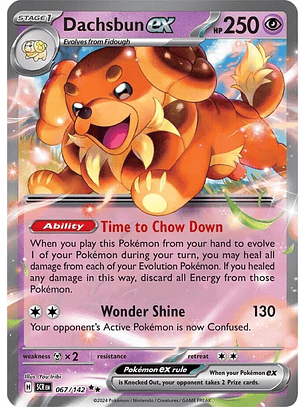 Dachsbun ex #67/142 Pokémon Stellar Crown