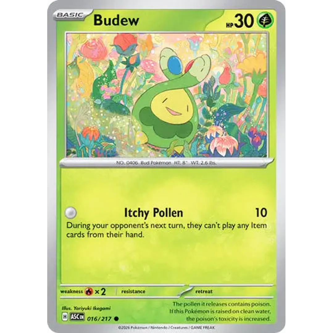 Budew - 016/217 Ascended Heroes 1