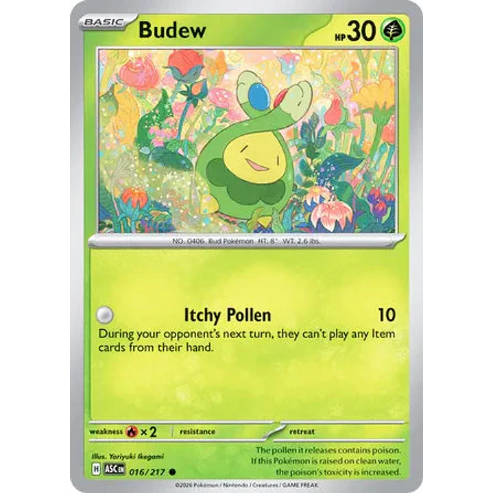 Budew - 016/217 Ascended Heroes 1