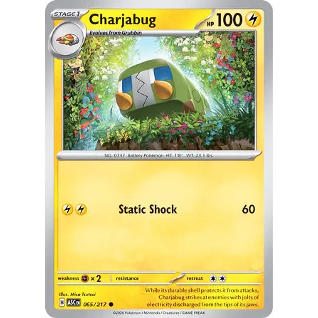 Charjabug - 065/217 Ascended Heroes 1
