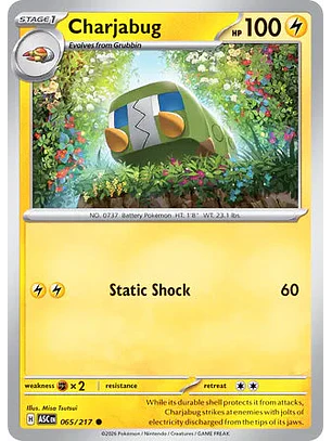 Charjabug - 065/217 Ascended Heroes